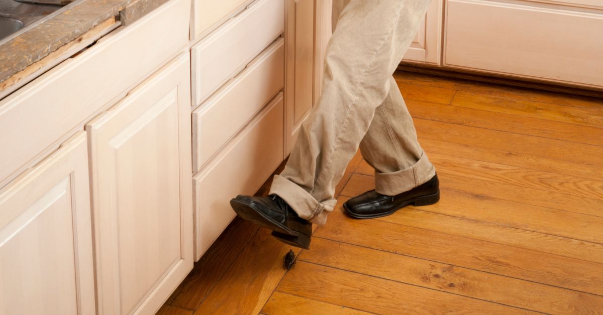 The Top Ways To Keep Pests And Infestations Out of Your Home